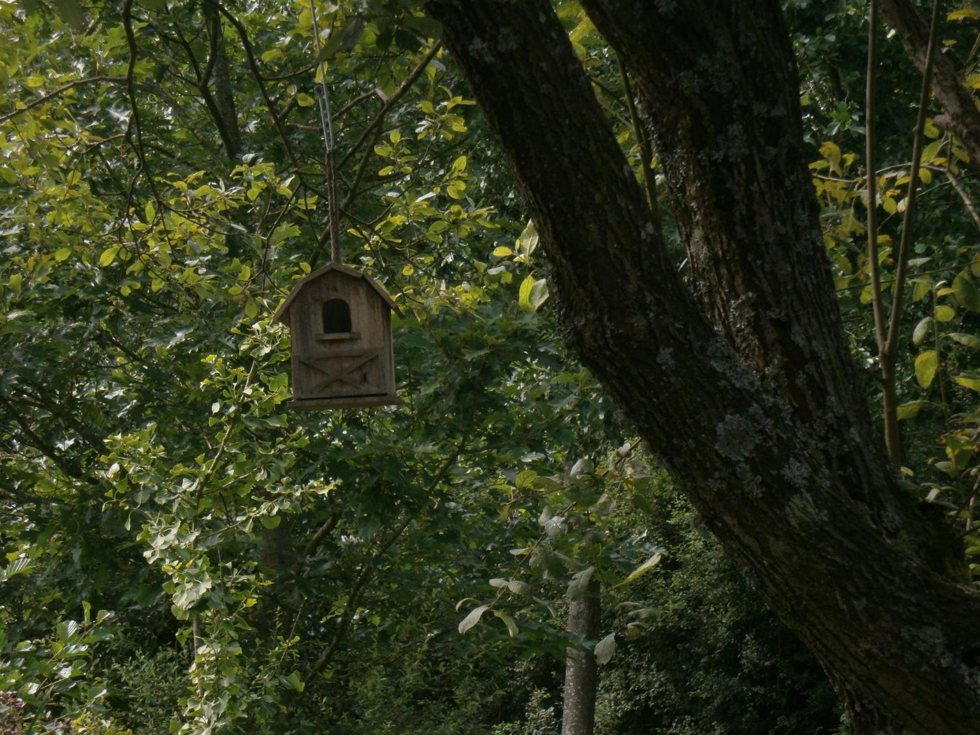 Le Chalet Pre De La Fontaine Paliseul Zewnętrze zdjęcie