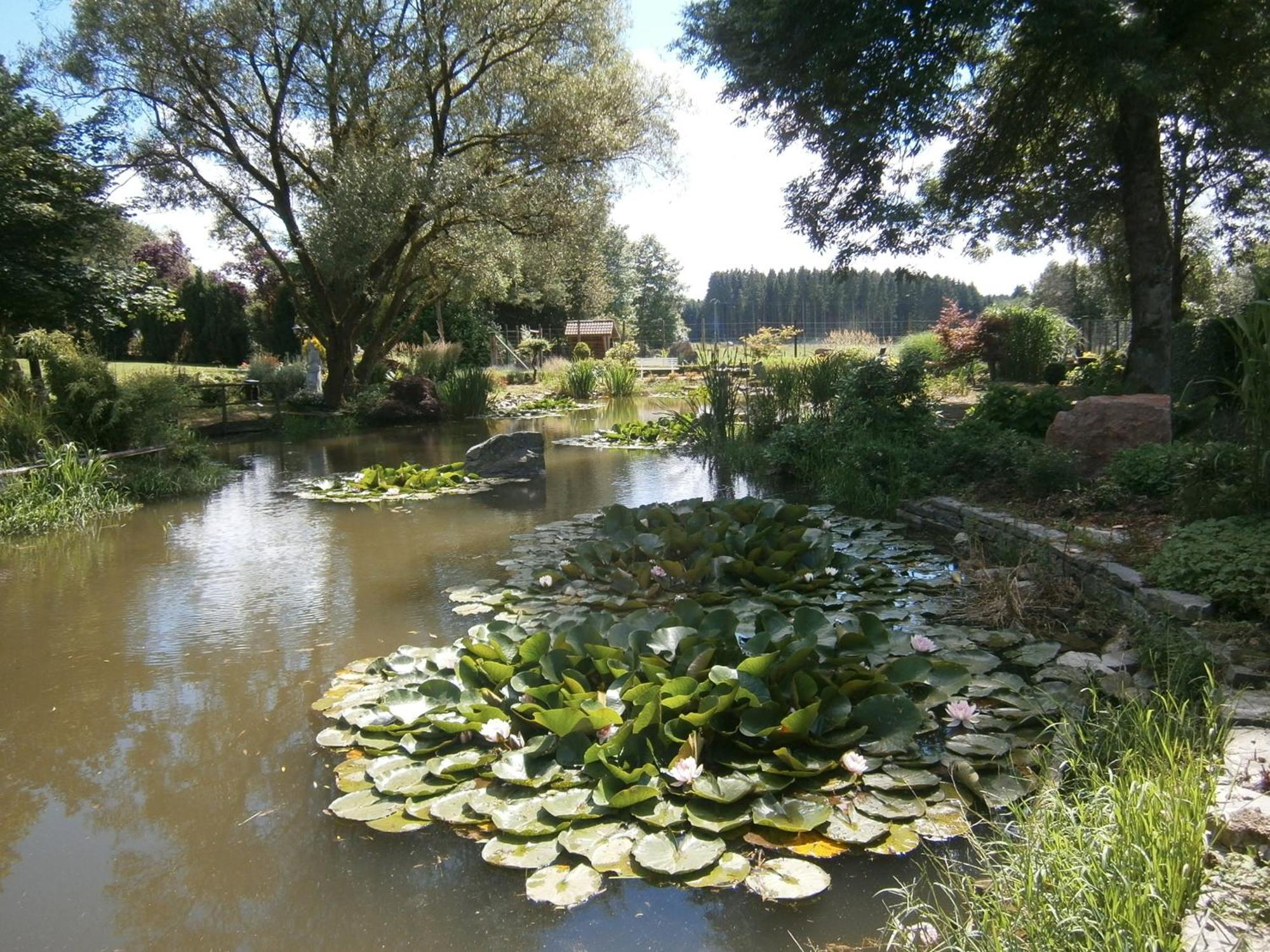 Le Chalet Pre De La Fontaine Paliseul Zewnętrze zdjęcie